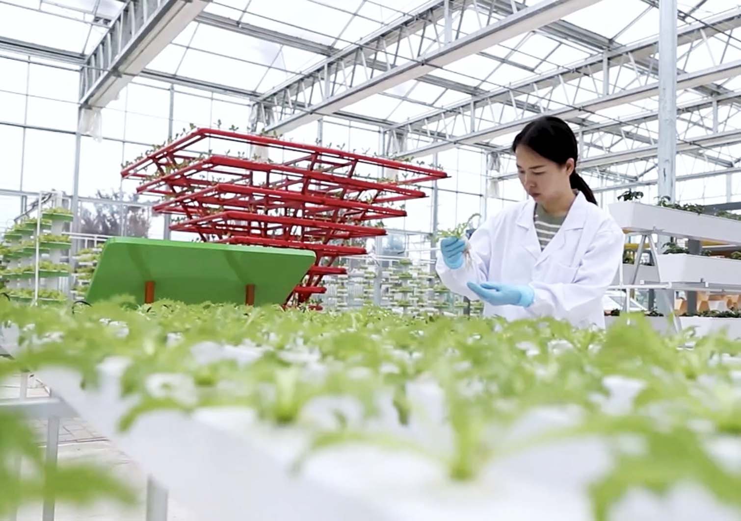 大禹节水：公司深度布局智能农业技术具体应用与经济价值可以体现在以下几方面