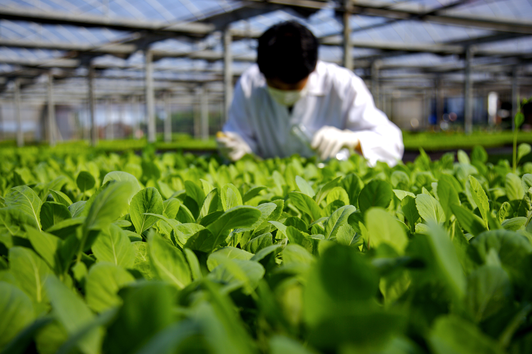 技术与应用 农业技术_国内农化行业最新资讯-世界农化网
